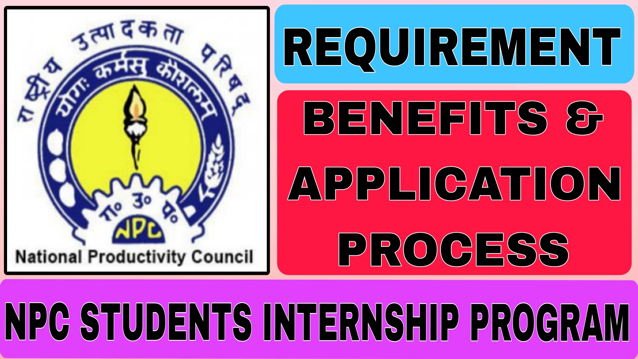 NPC Students Internship Program